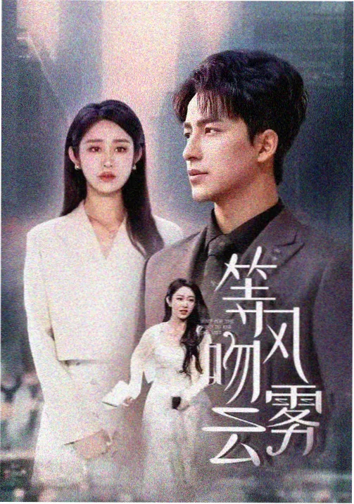 免费大片真人电视剧在线观看 - 风起陇西